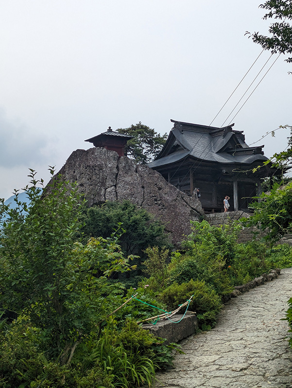 山寺の紫陽花