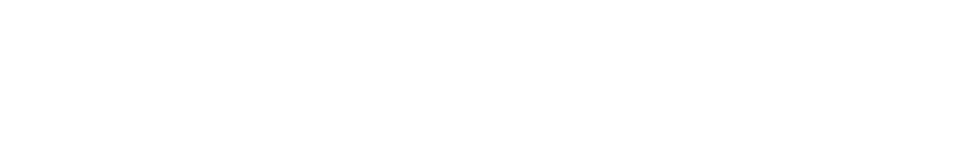 DESIGNER