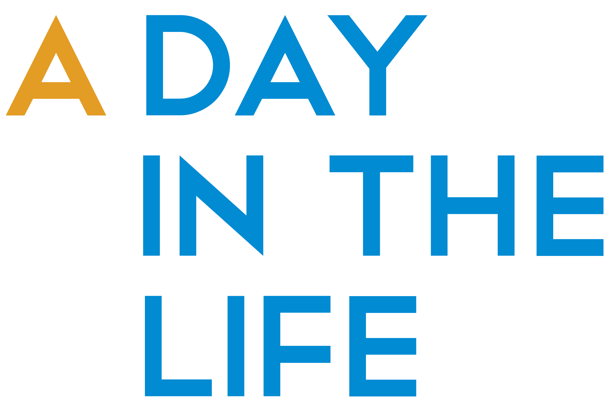 A DAY IN THE LIFE