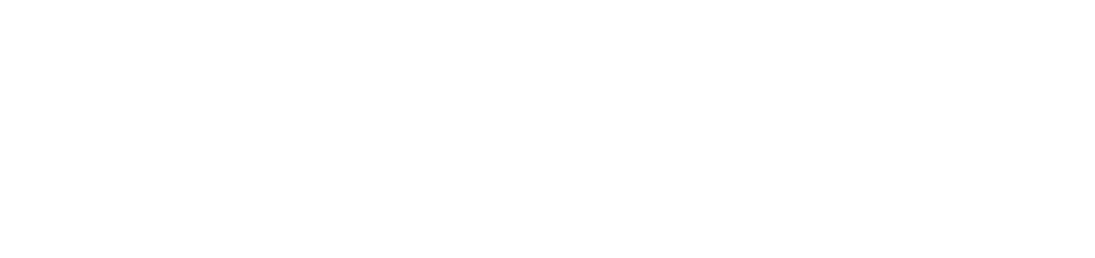 DATA PRINTING