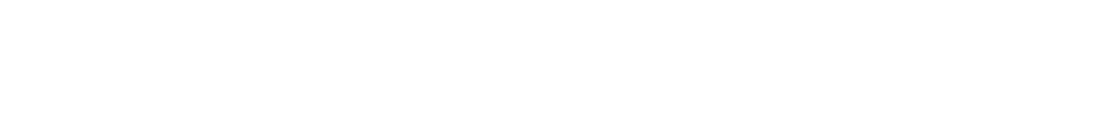 WEB & SNS