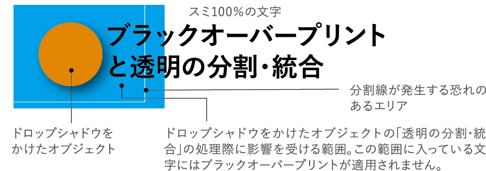 画像12