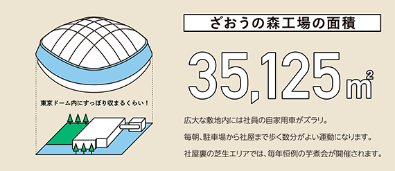 ざおうの森工場の面積35,125m2